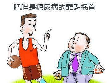 胖，预防，糖尿病